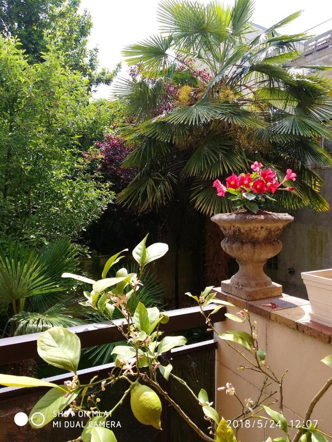 Appartement Charmant A Alfortville 30M² Terrasse Et Jardin 外观 照片